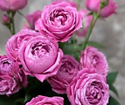 Мистик Баблс