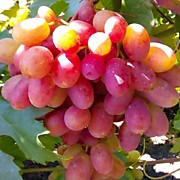 Преображение