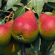 Академическая 500 руб.