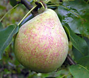 Мраморная 500 руб.